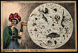 Monster_Soup_commonly_called_Thames_Water._Wellcome_V0011218.jpg