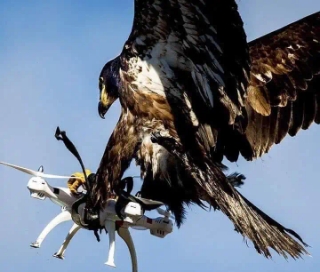 Boj proti dronům.jpg